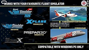 Amazon.co.jp: フライトシミュレーター用EFISバロミン付き